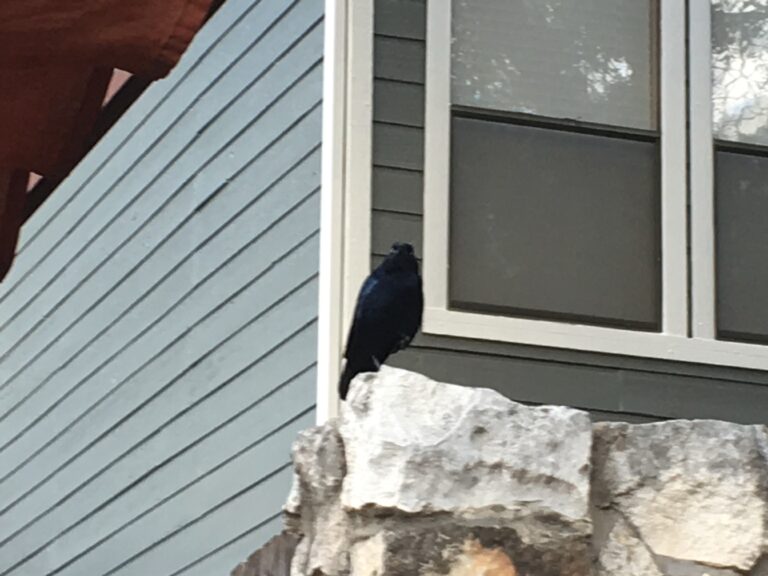 Objects in Mirror are Closer Than They Appear