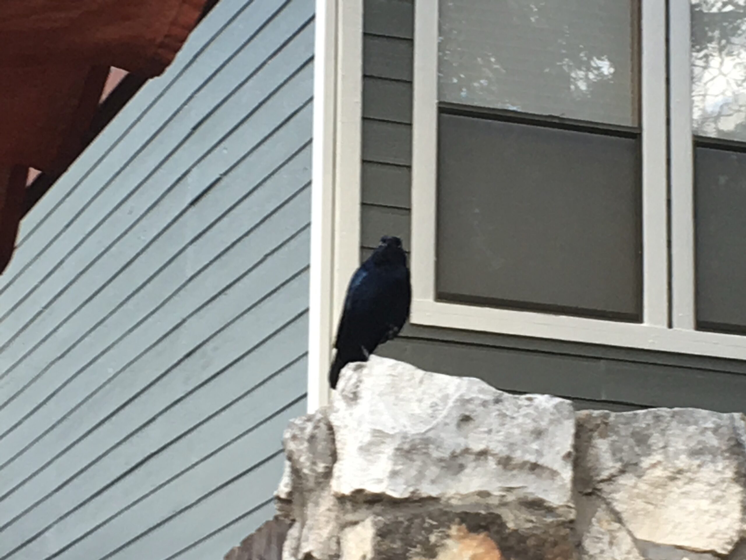 Objects in Mirror are Closer Than They Appear