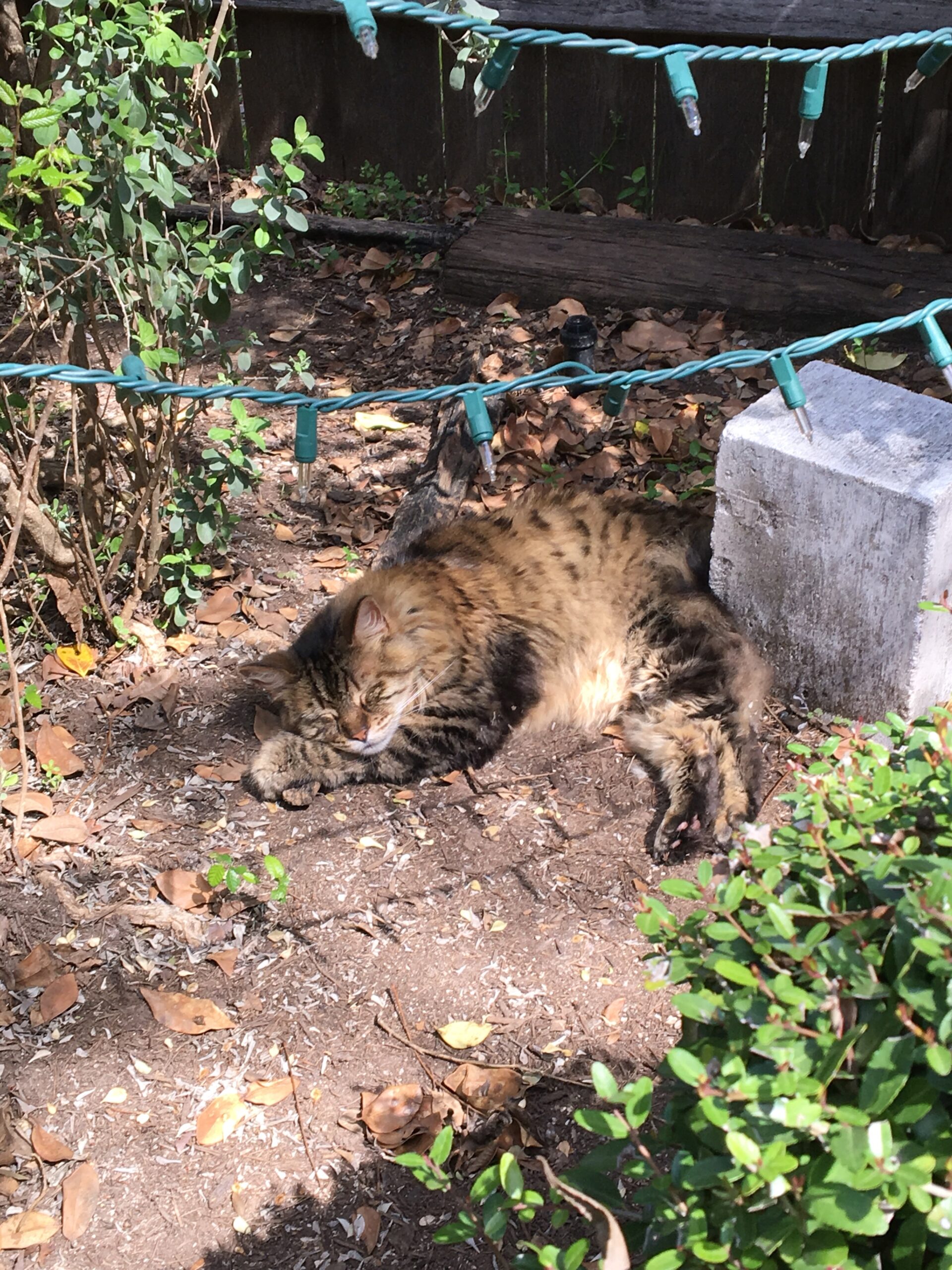 Up Close And Personal