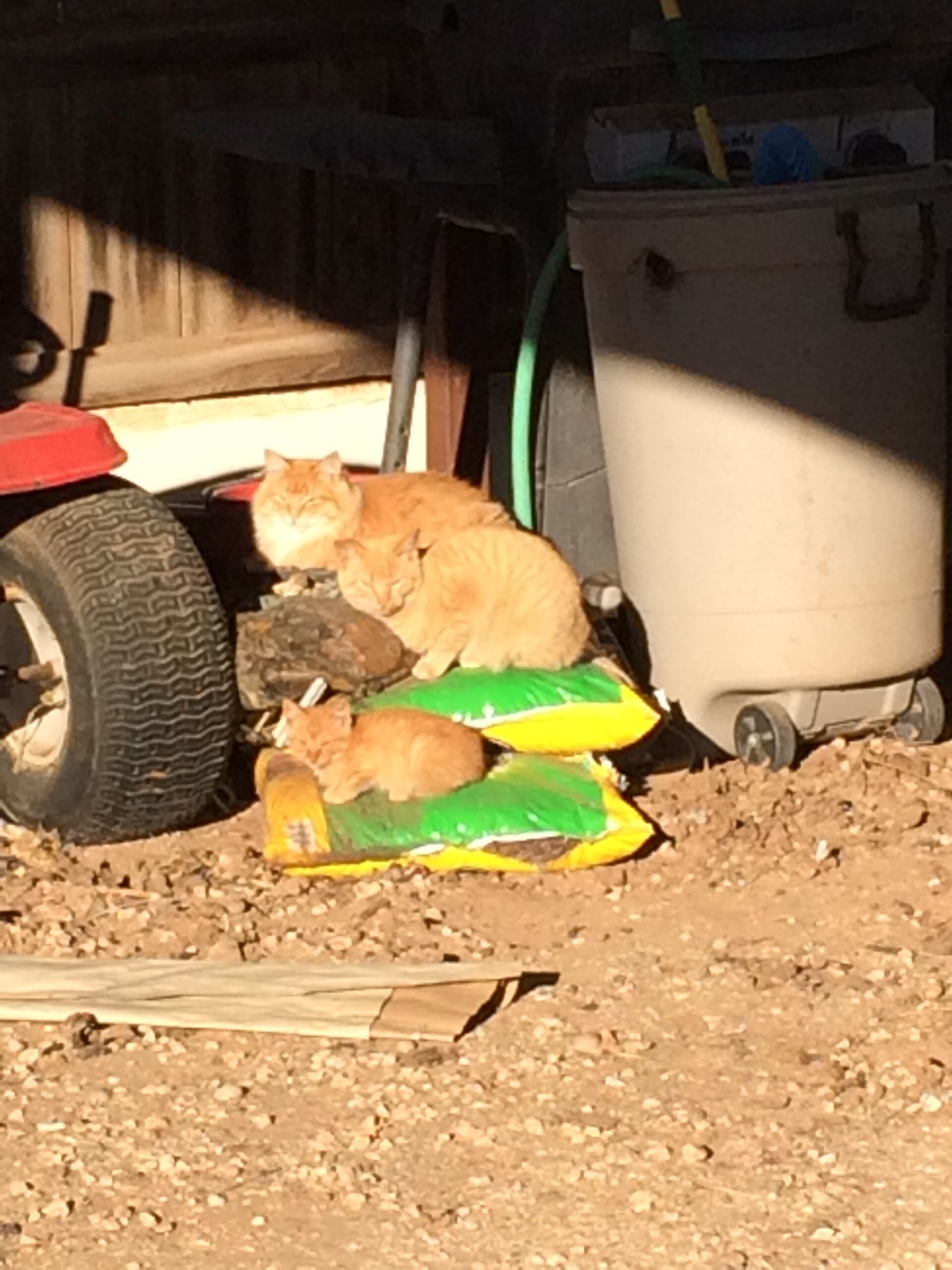 Small, Medium and Large