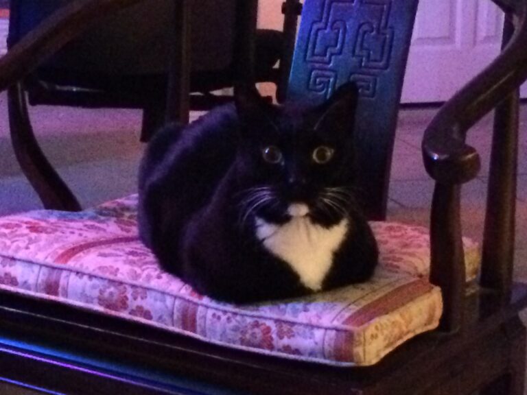 When The Acid Kicked In