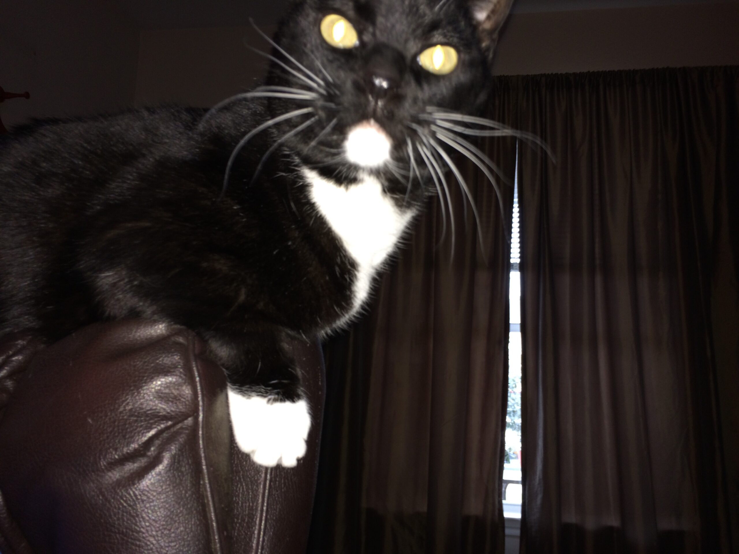 What Did You Just Say?