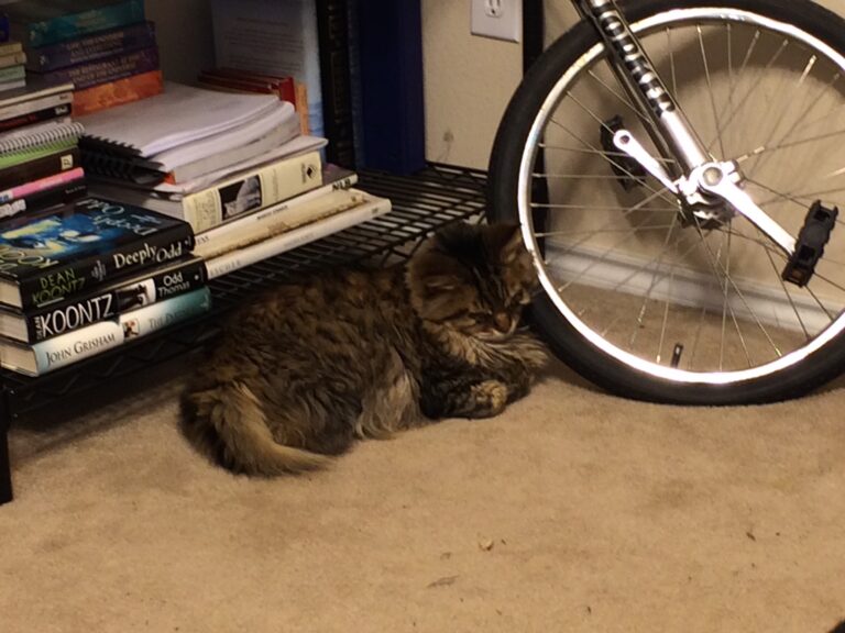 The Tired Circus Performer