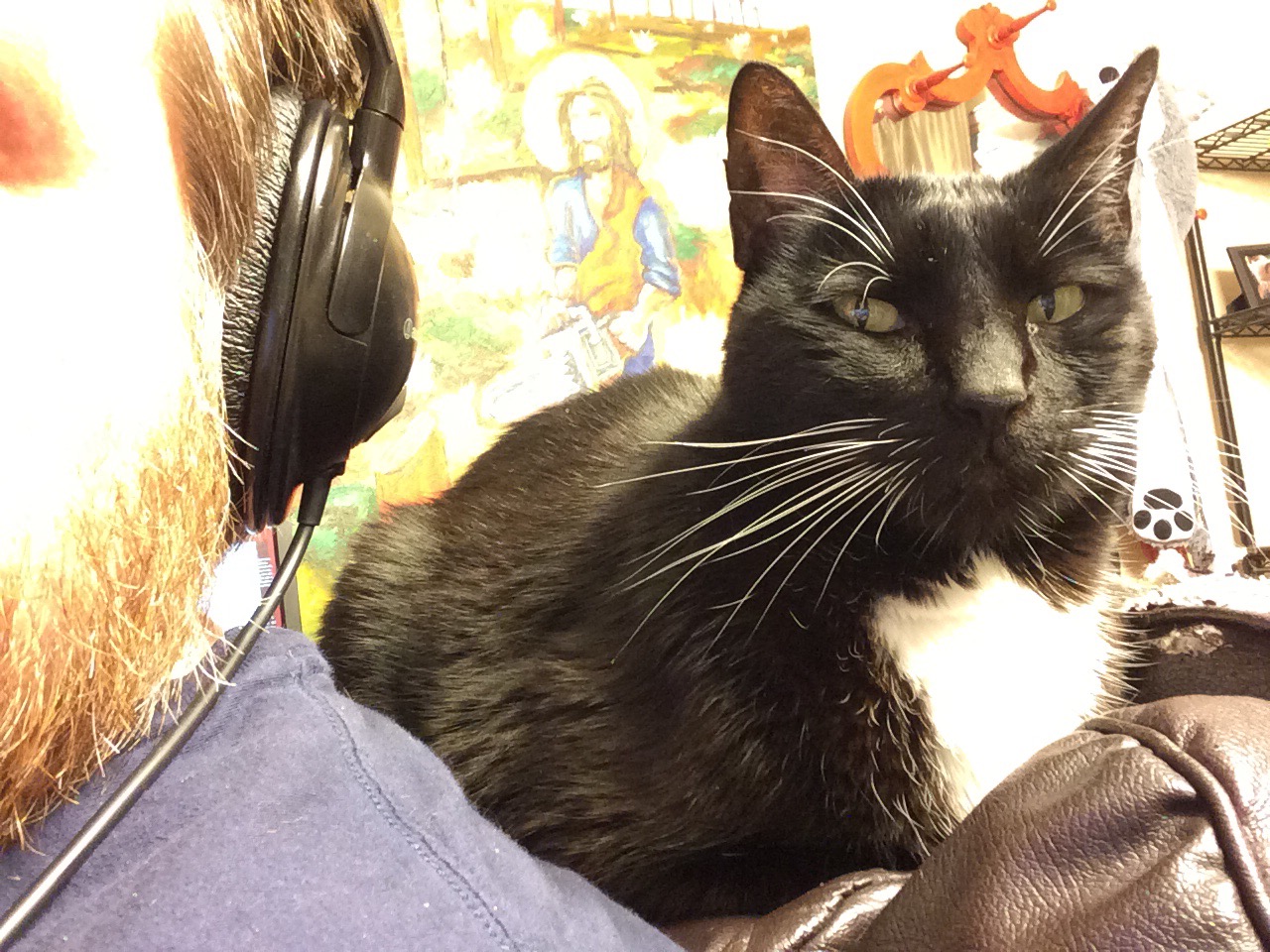 Level 10 Indifference