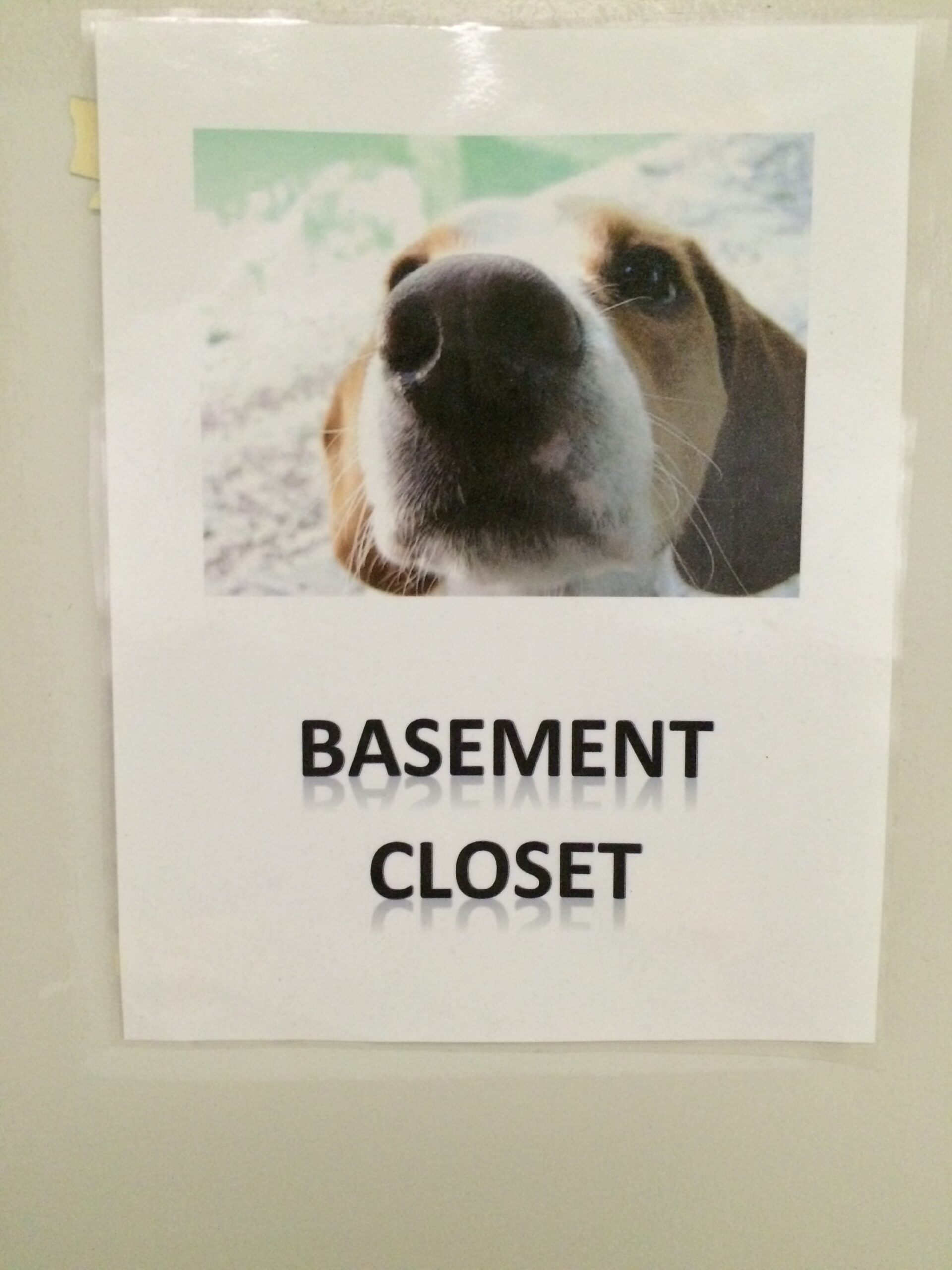 Basement Closet