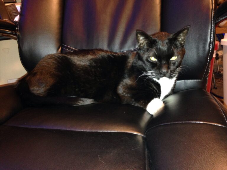 Crabby Business Beef