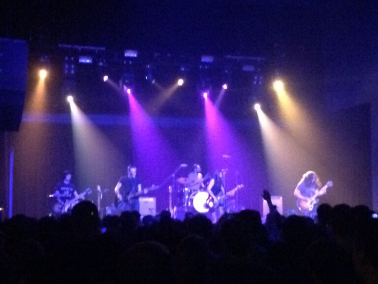 I Wish My Cat Could Talk