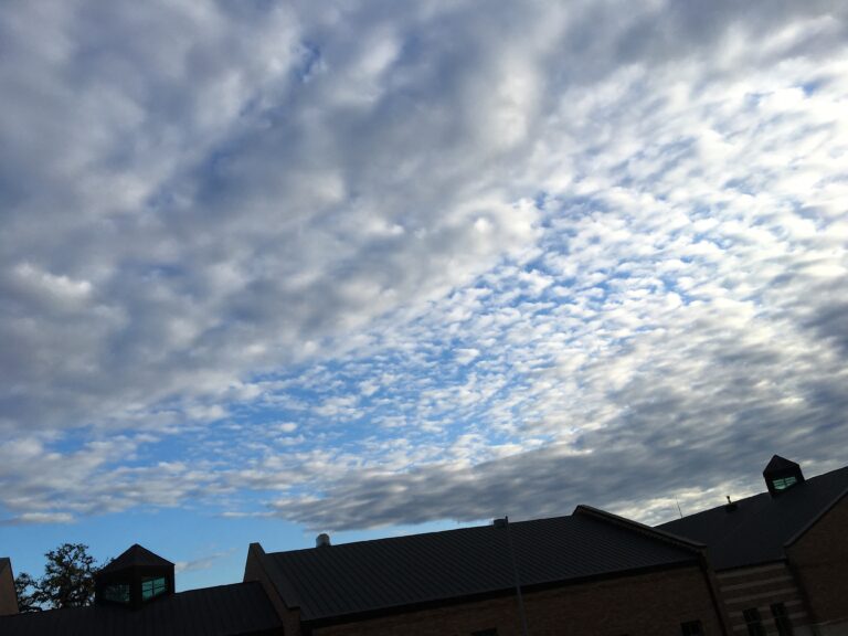 Picture of a Picture