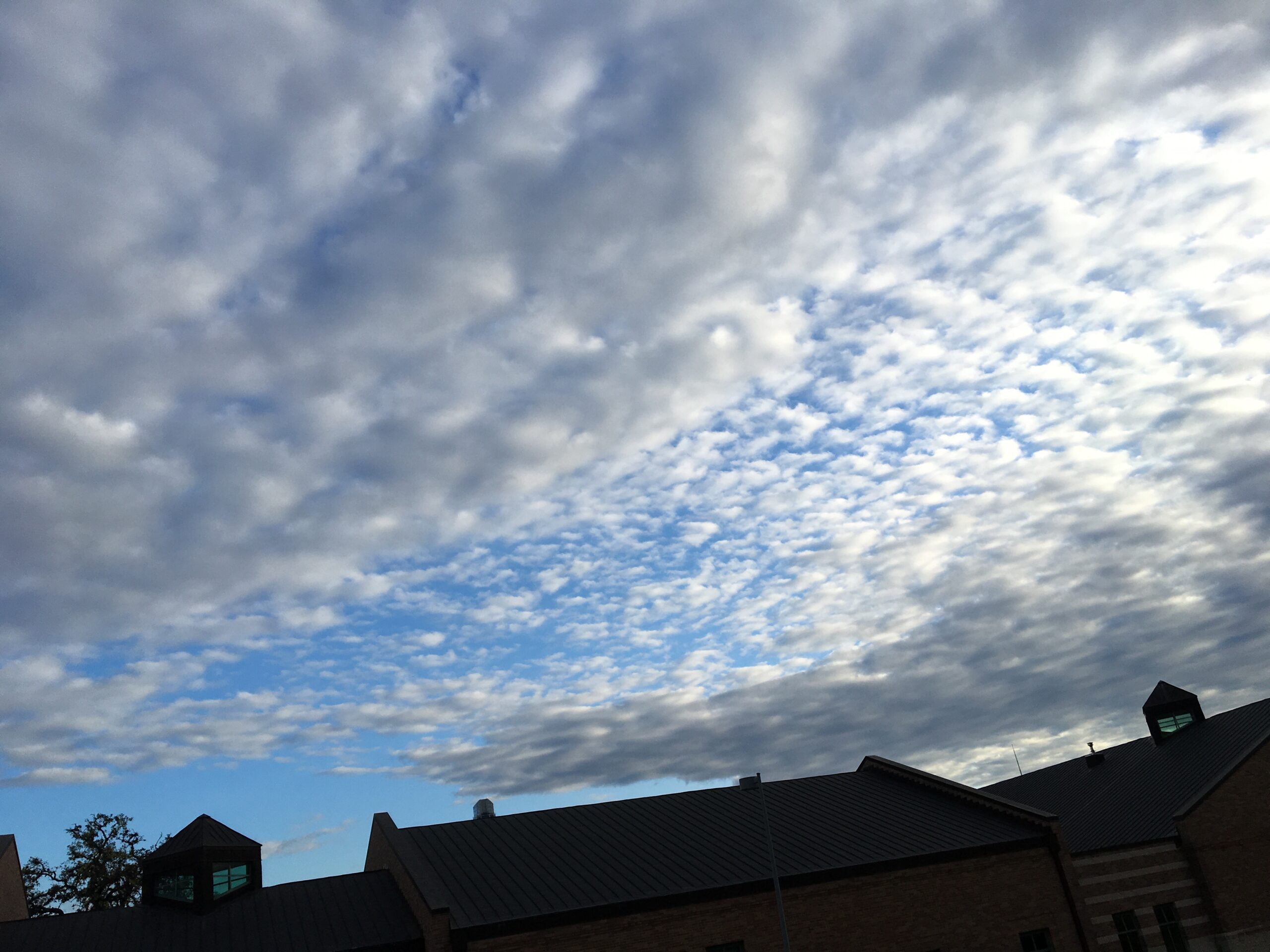 Picture of a Picture