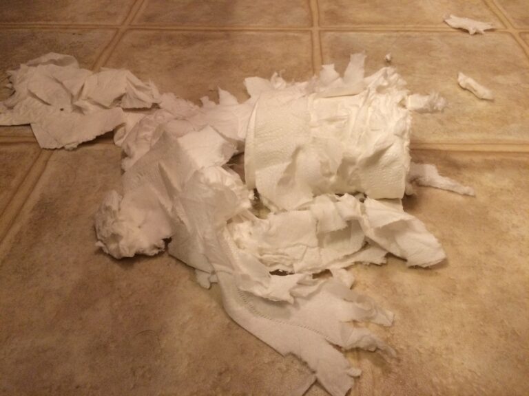 This Is What Bob Does To Toilet Paper