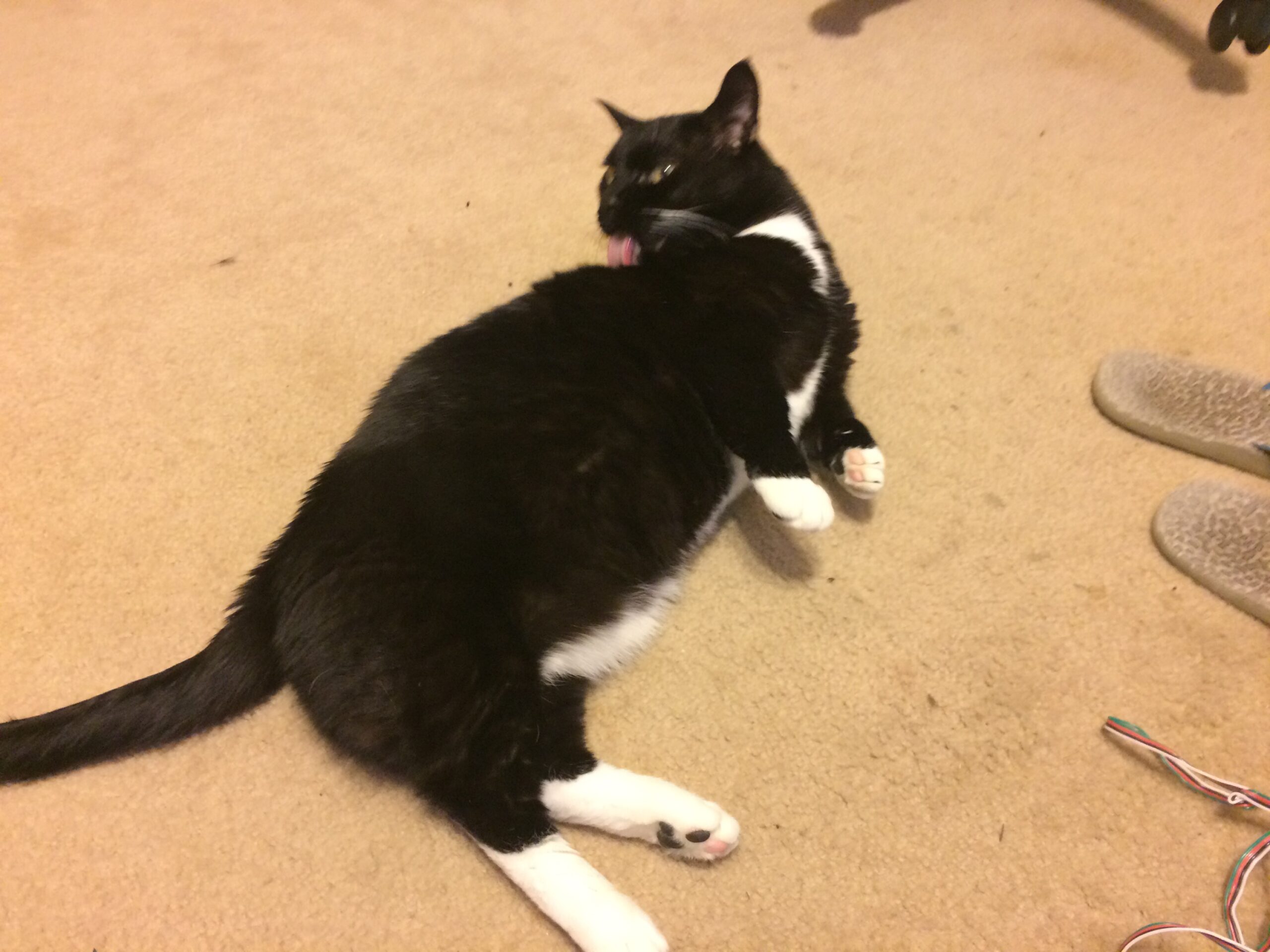 Proper Maintenance Required