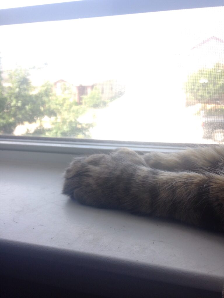 A Subtle Contemplation