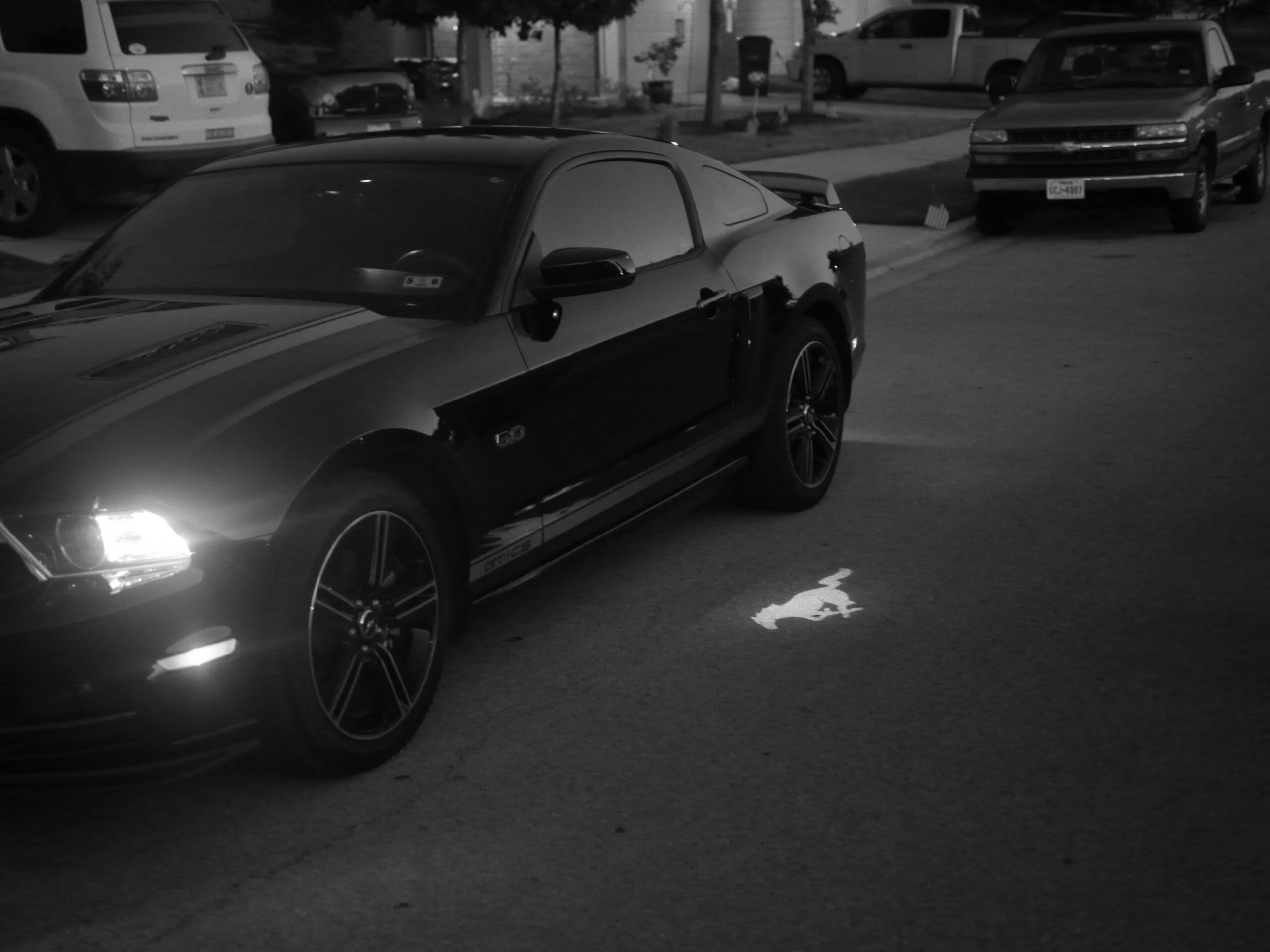 Mustang