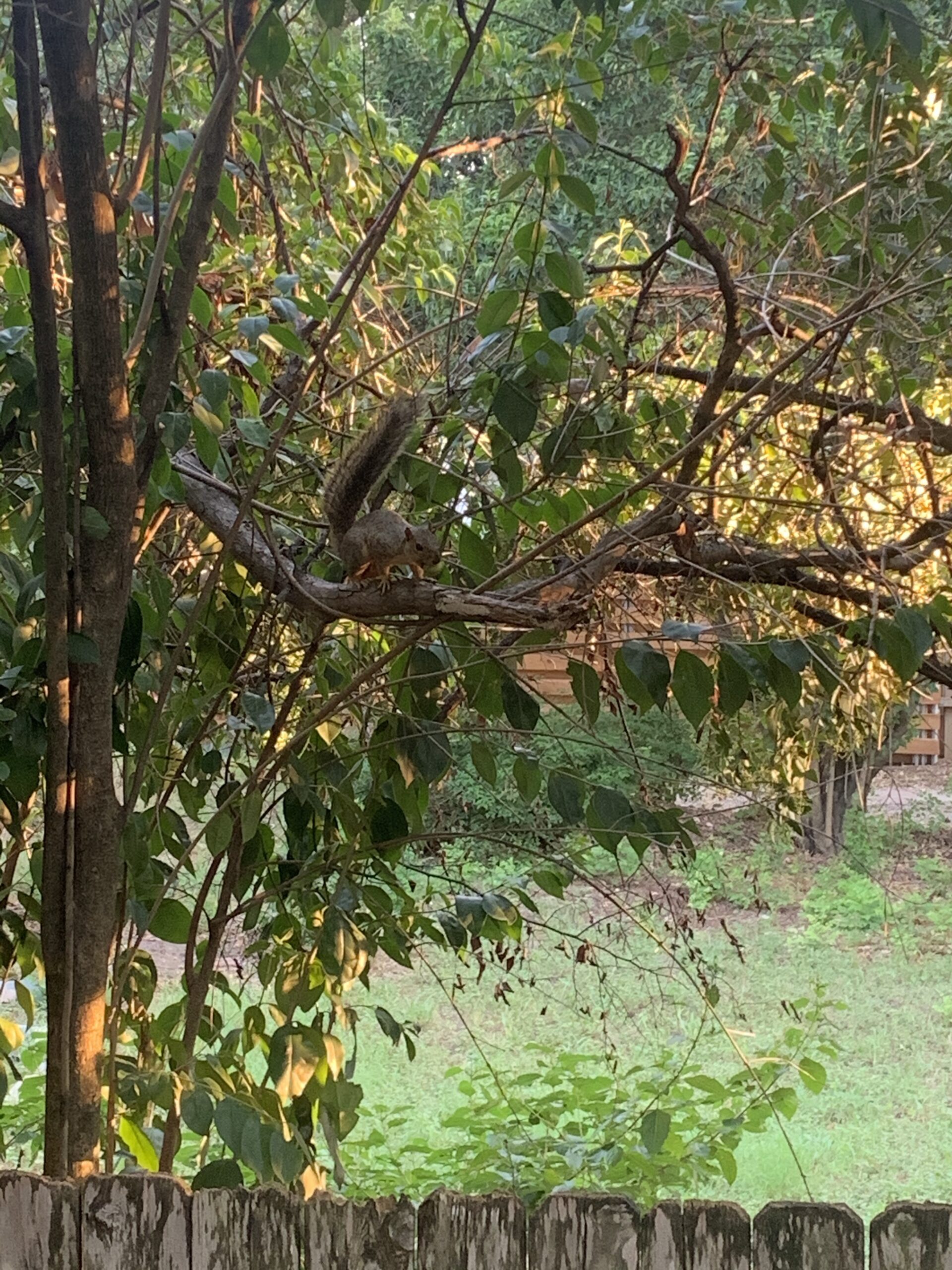 Eddie Got A New Bike