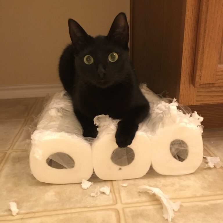 TP Destroyer