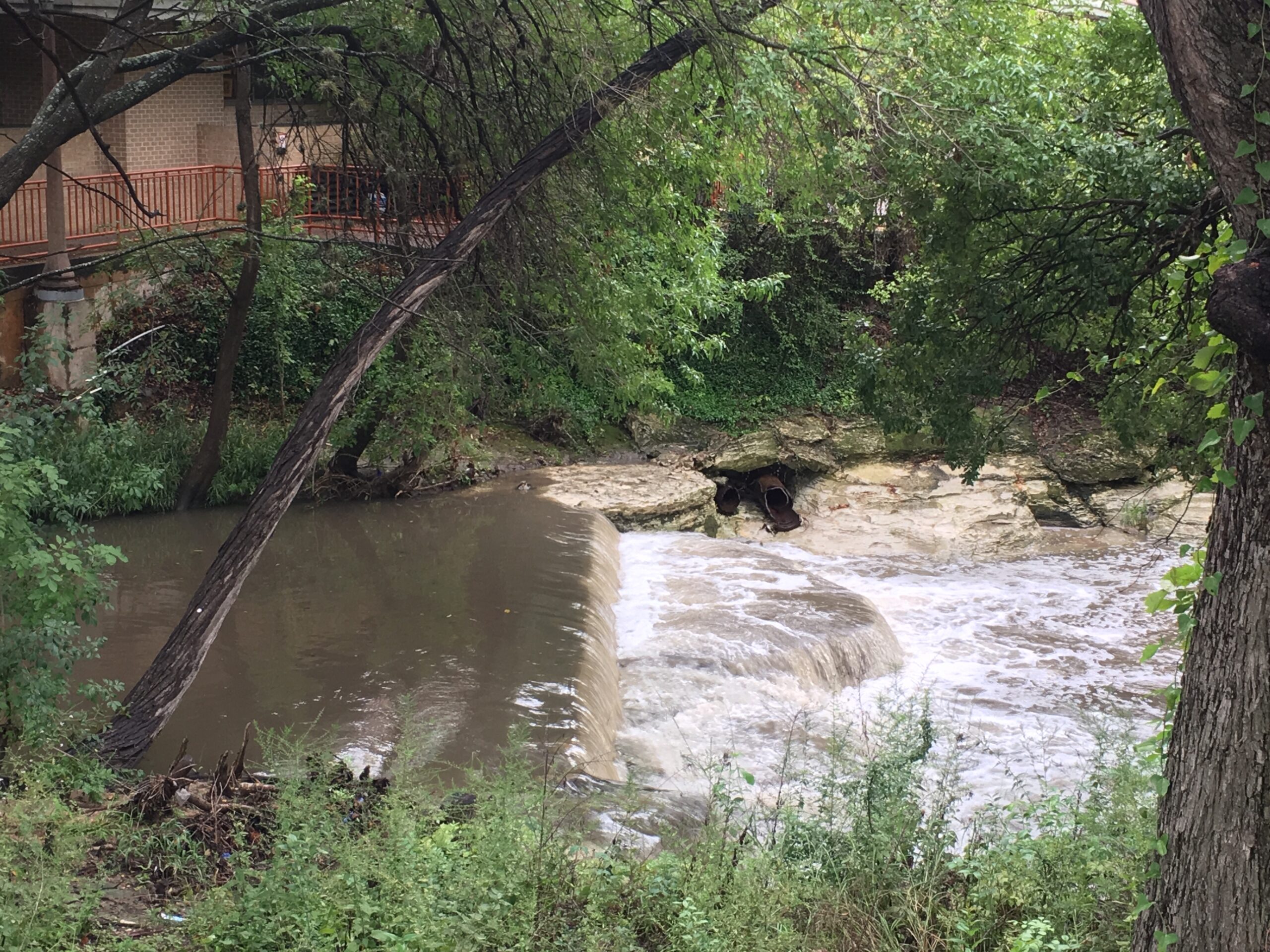 Crazy Eyes and Crazy Toes