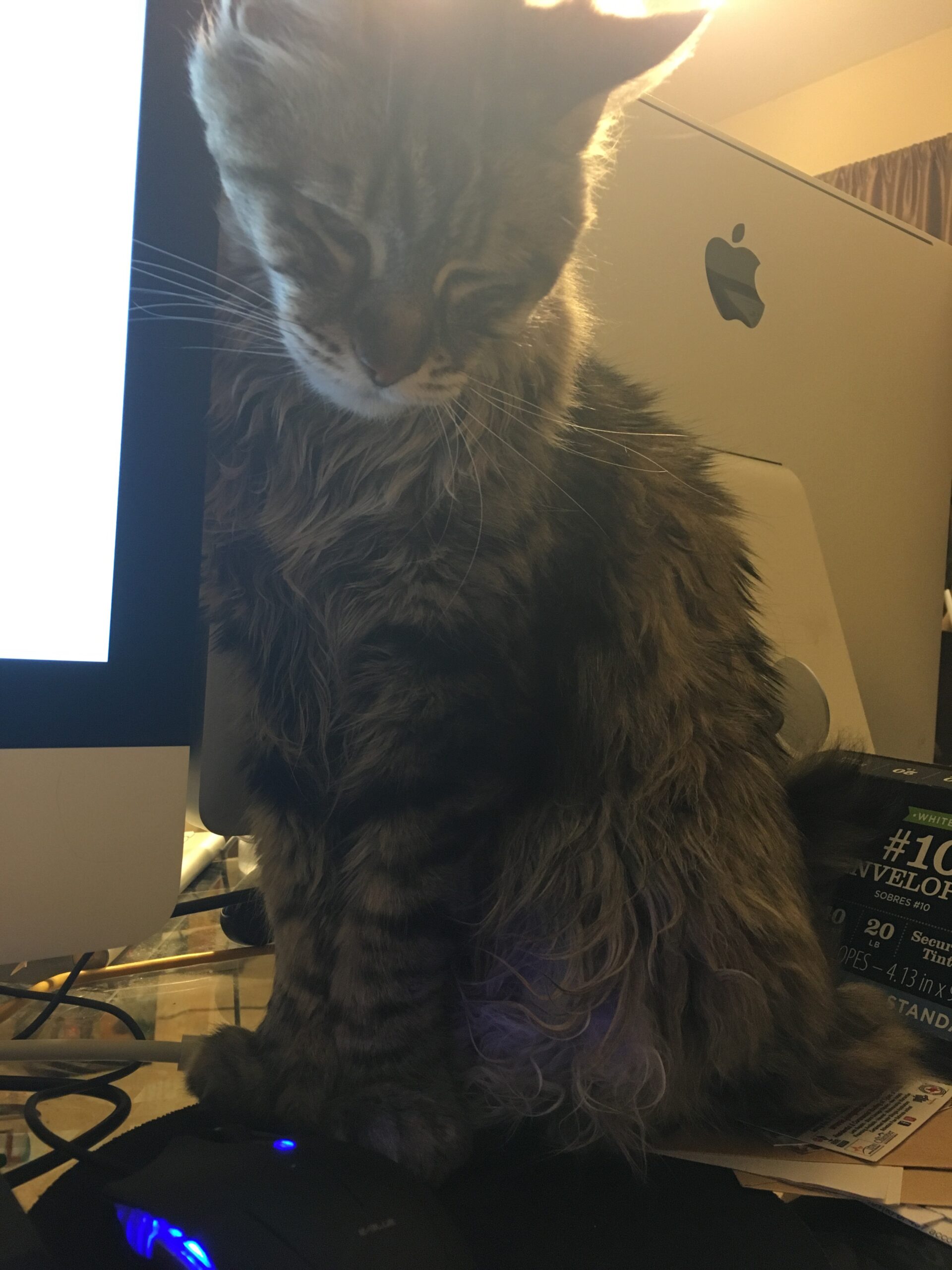 Eddie Loves To Compute