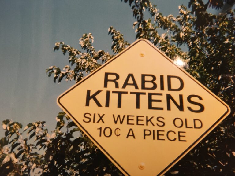 Rabid Kittens
