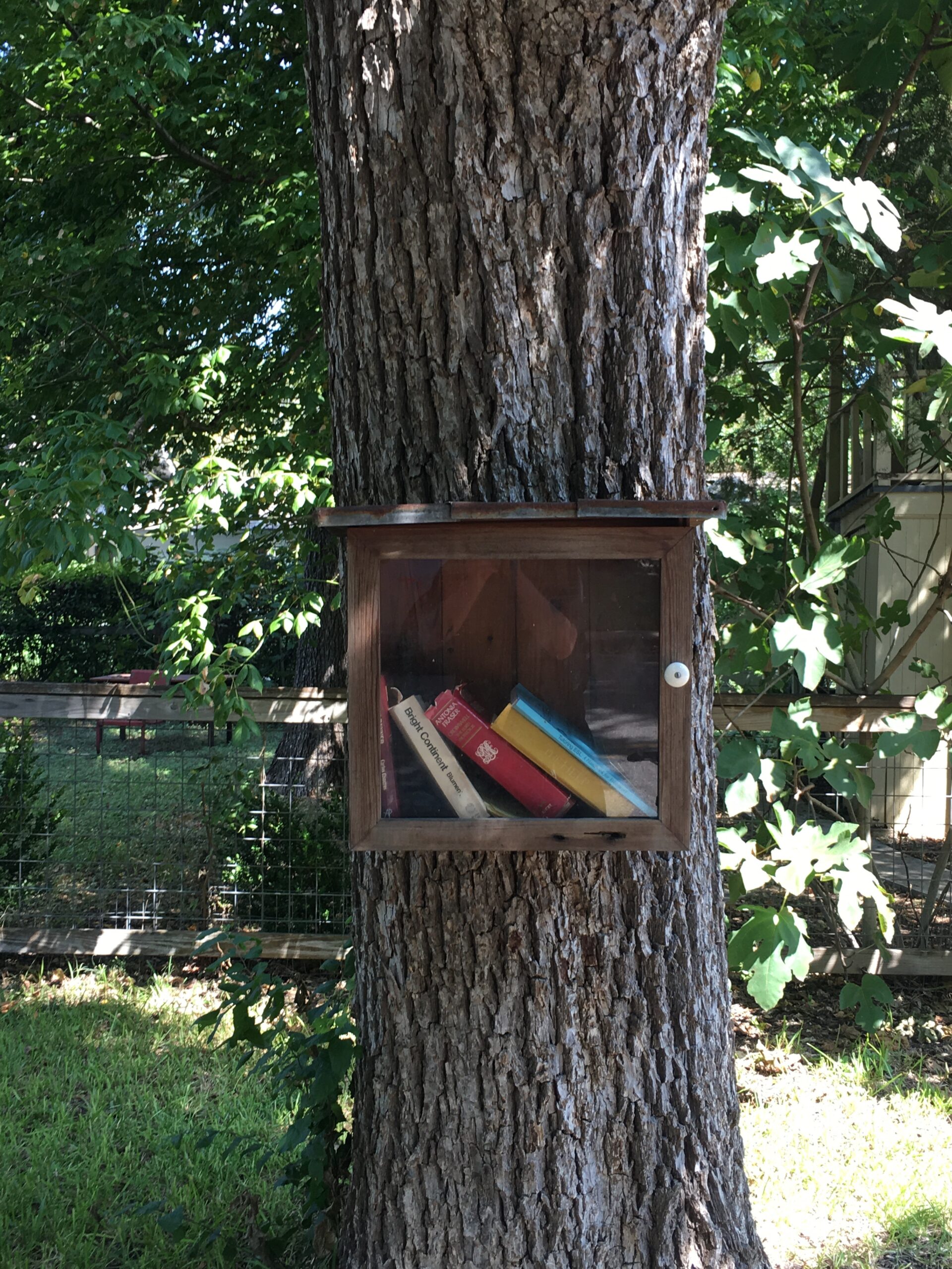 Reunion After A Long Drive