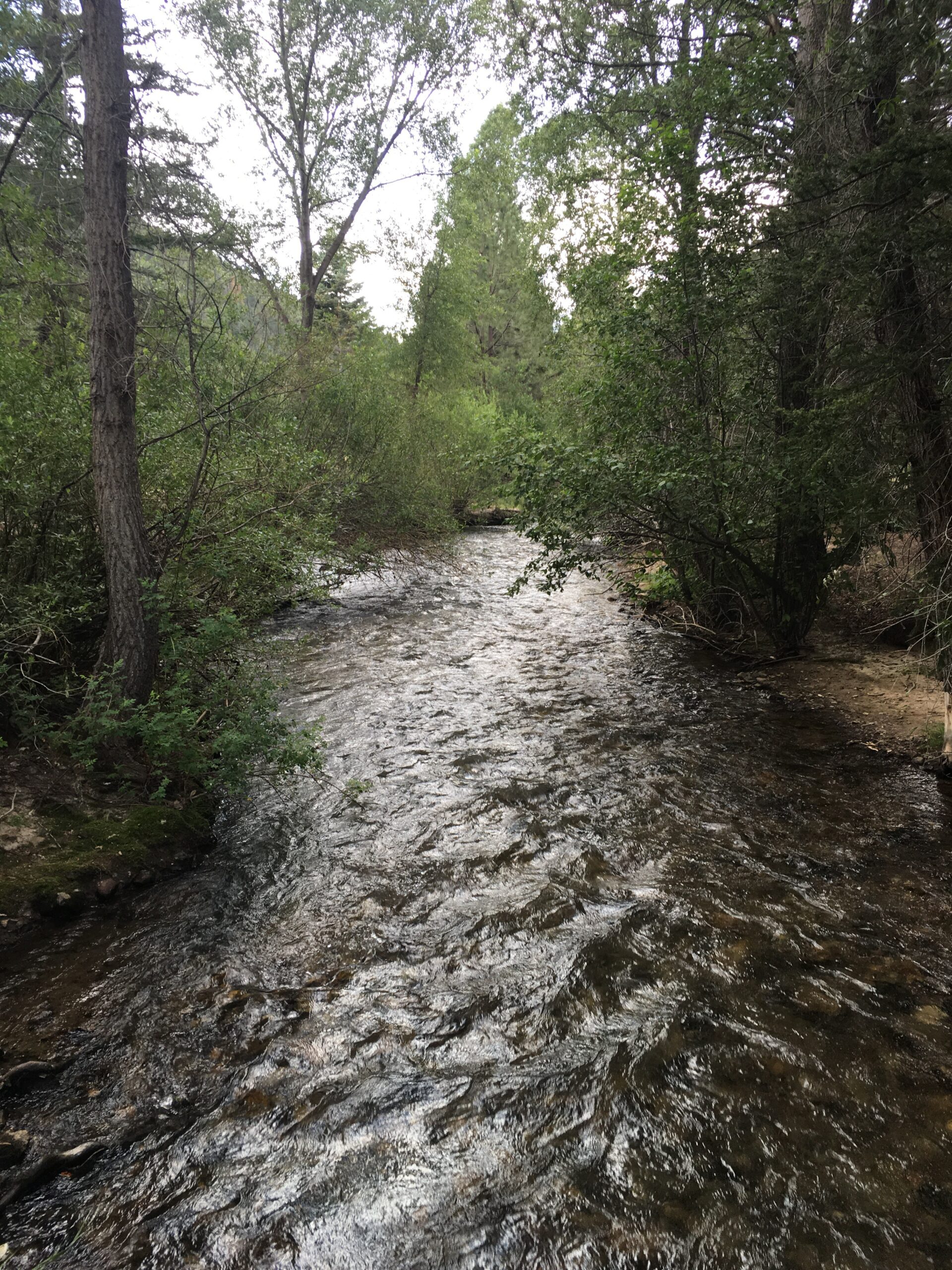 A River Runs Through It