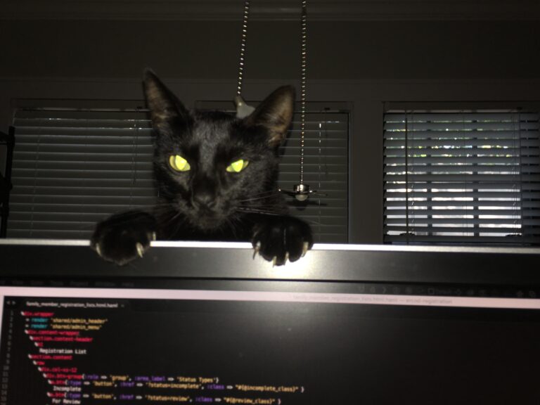 Every Single Morning