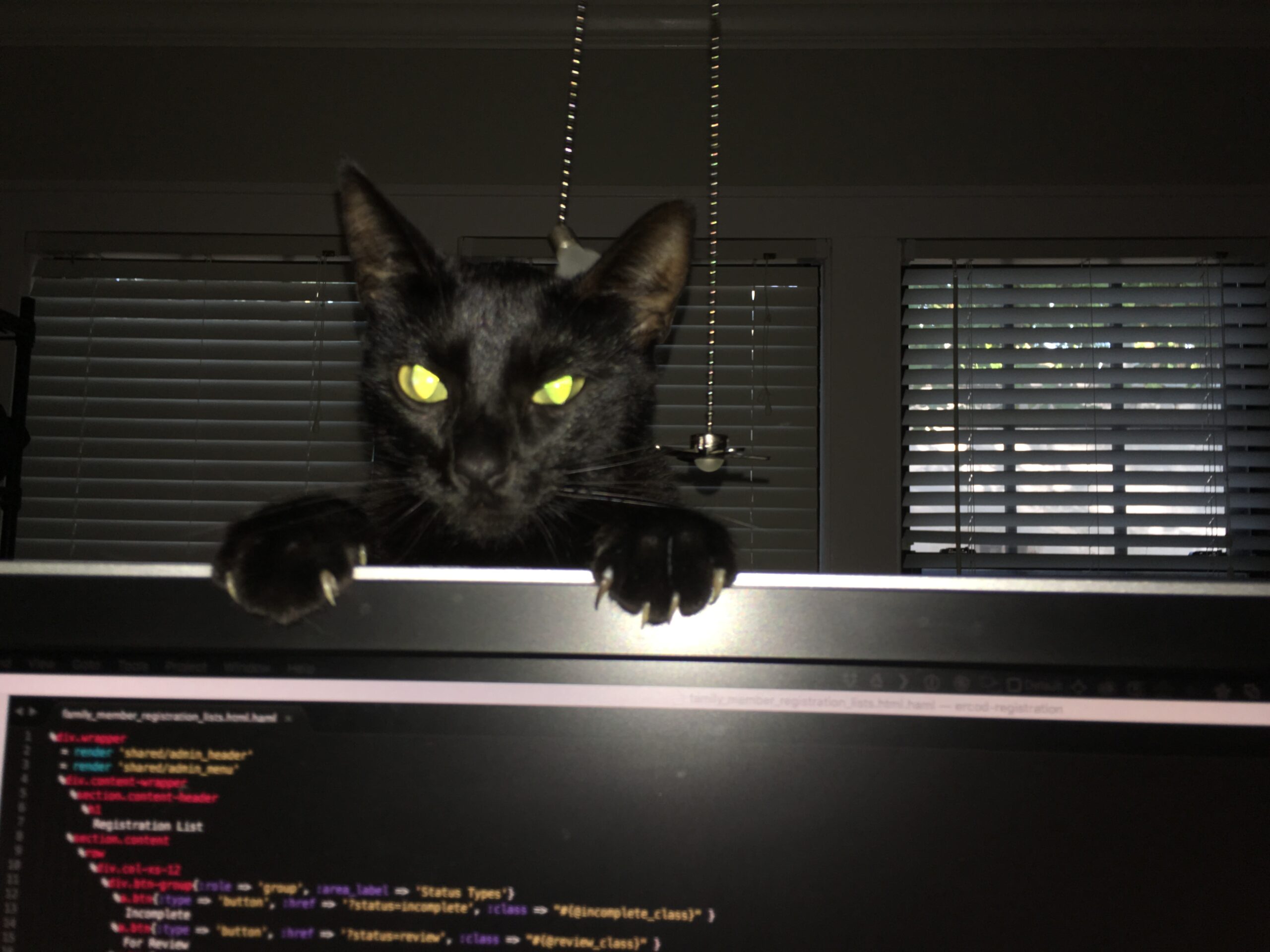 Every Single Morning