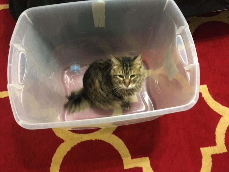 Find Your Happy Place