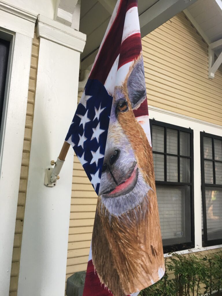 ‘Murican Goat