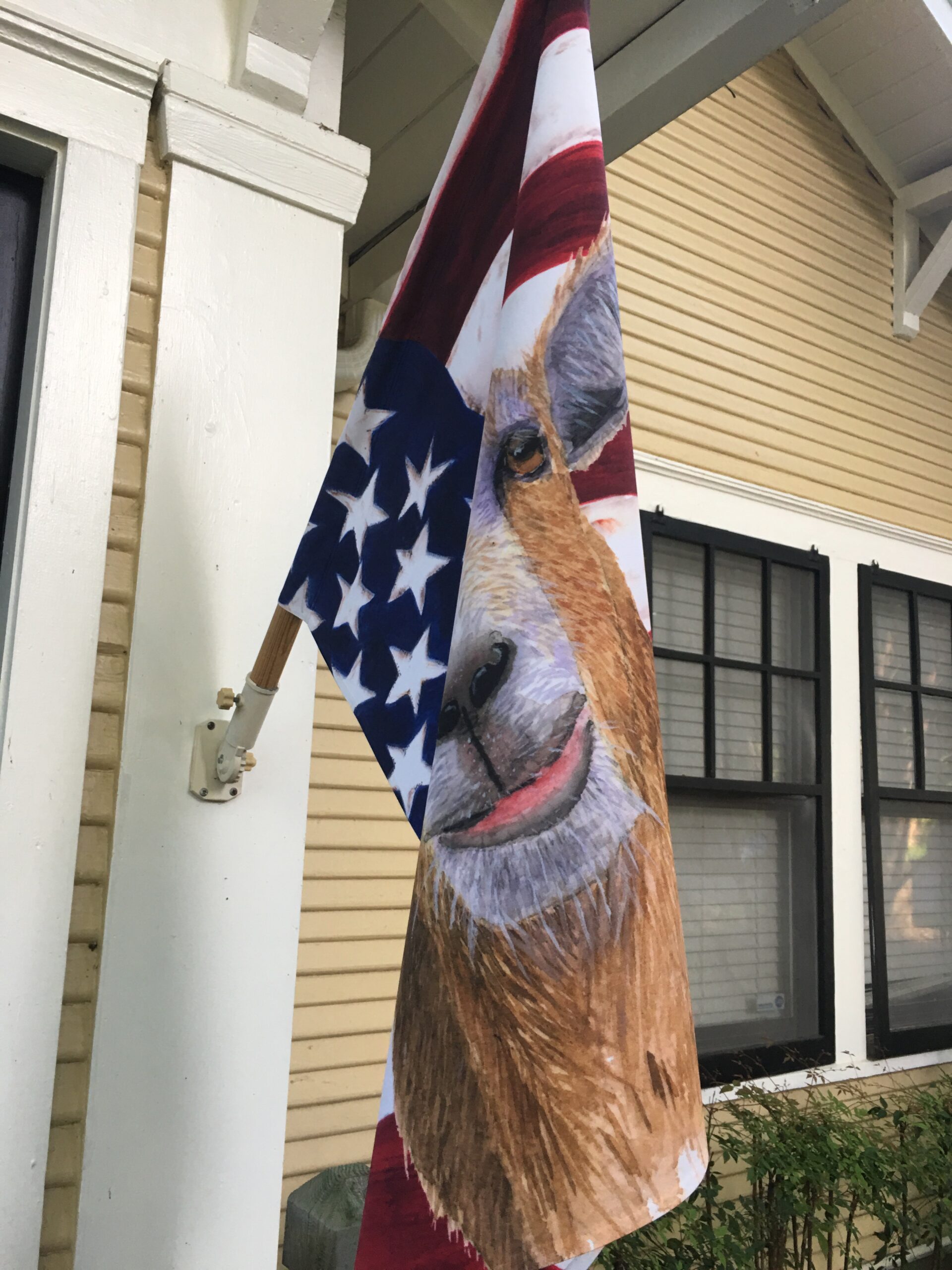 ‘Murican Goat