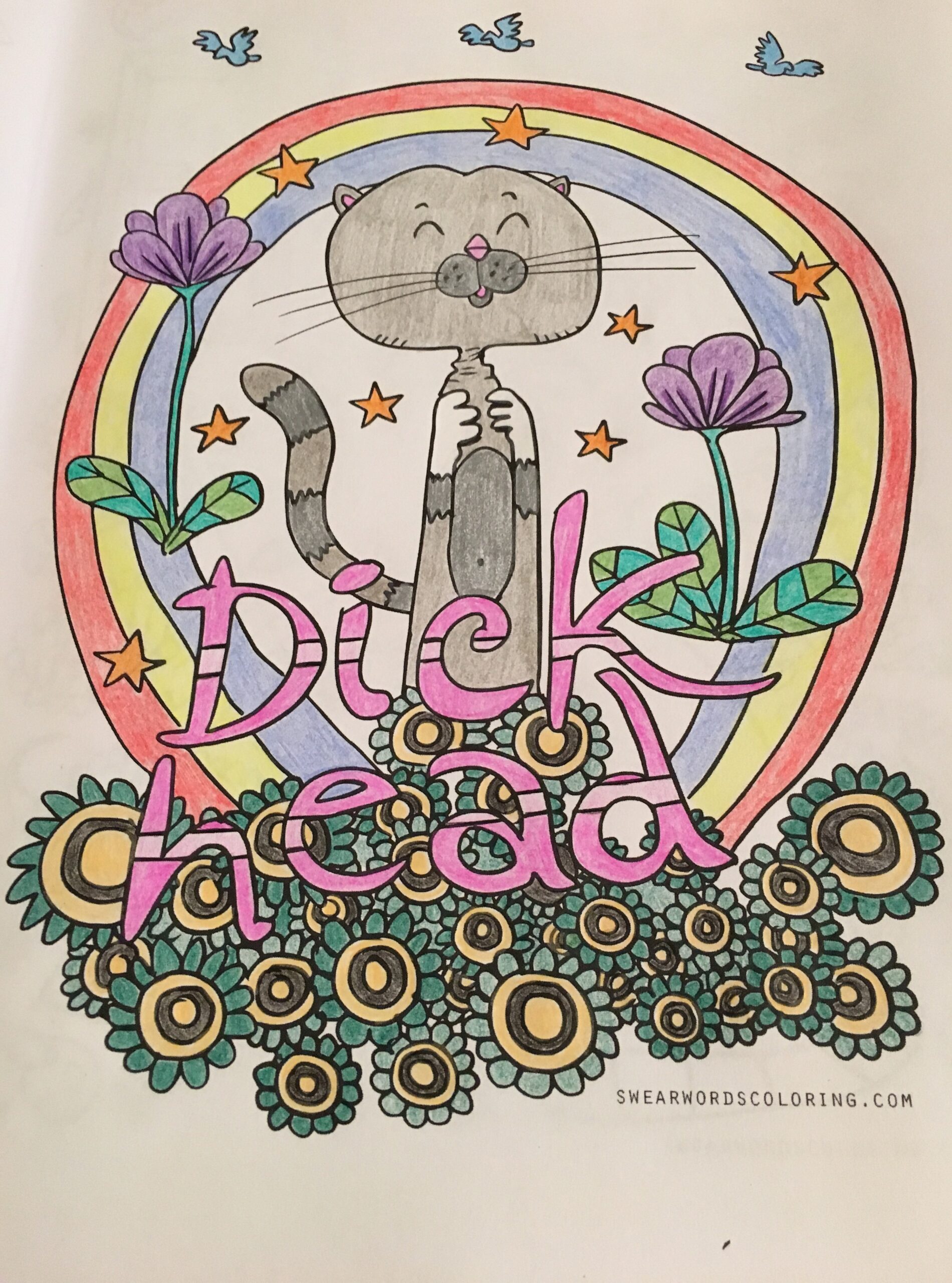 Adult Coloring Book Fun