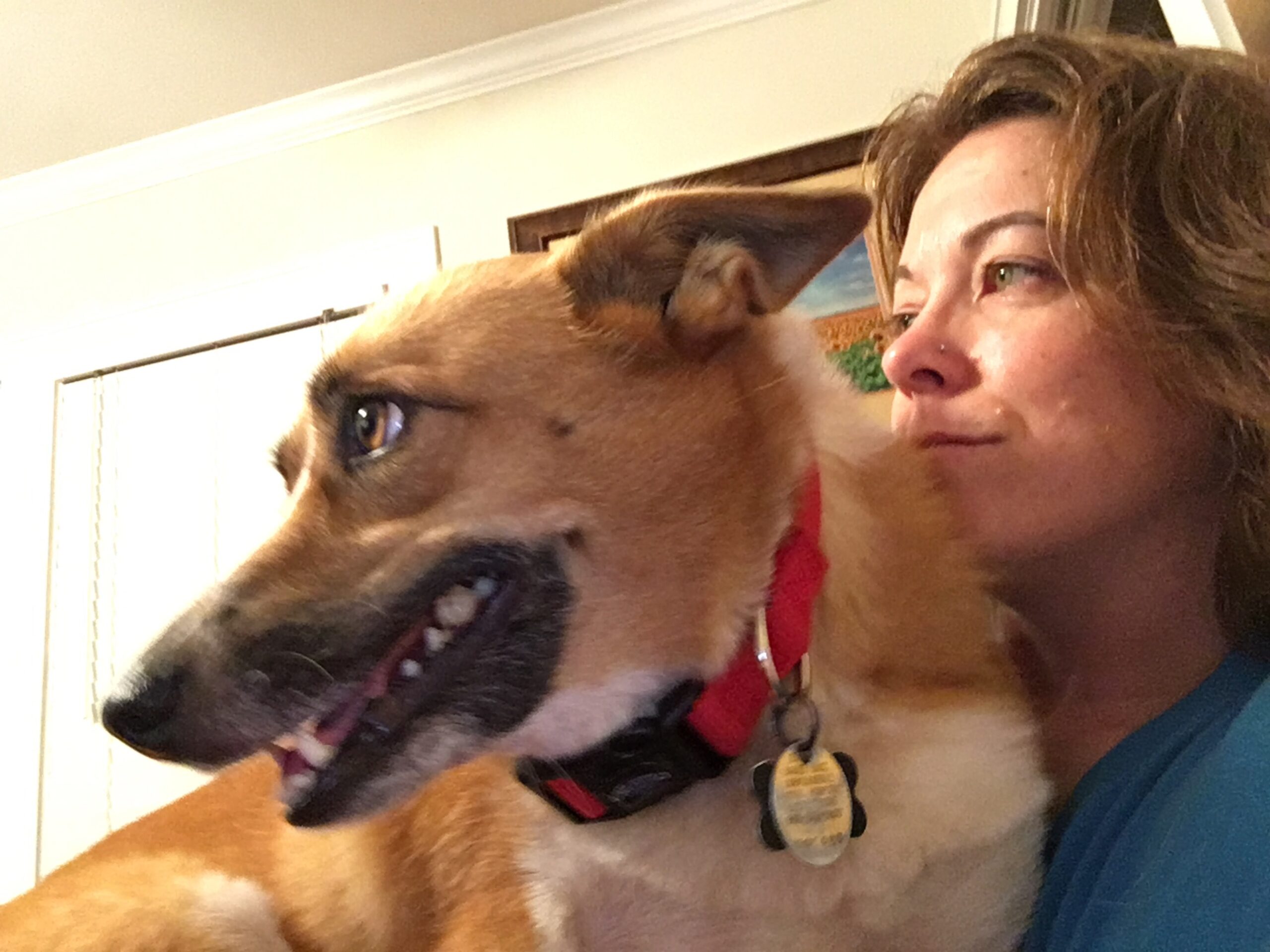 Monday Night Football