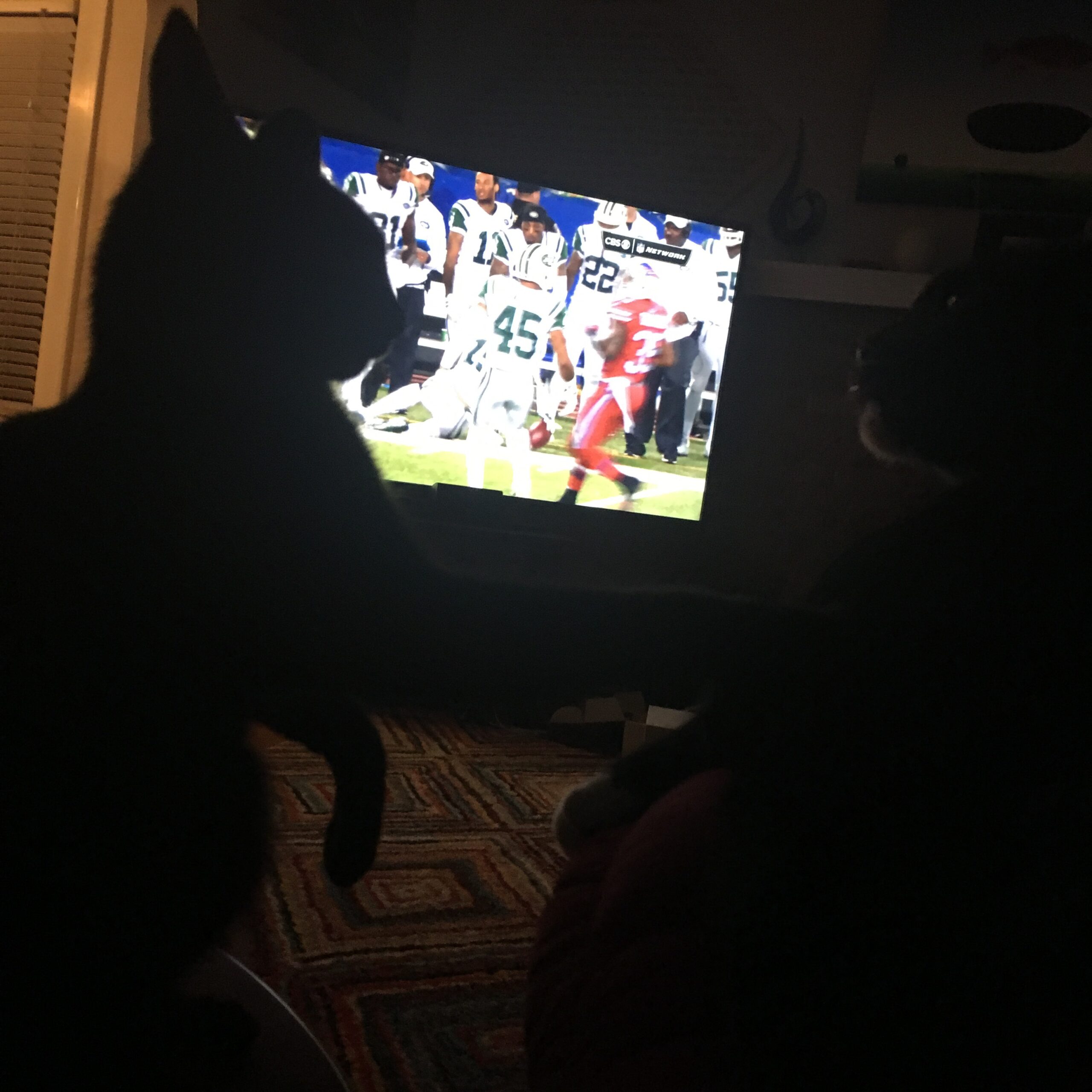 Cat Fight and Football