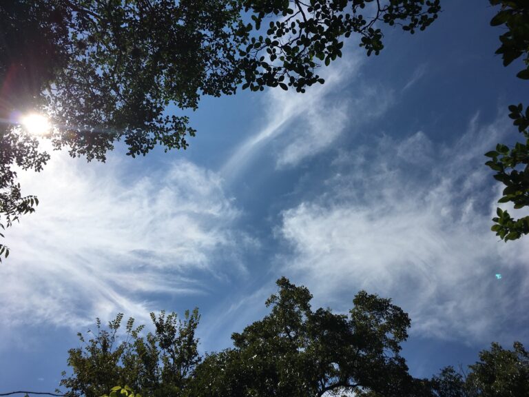 Saturday on the Patio