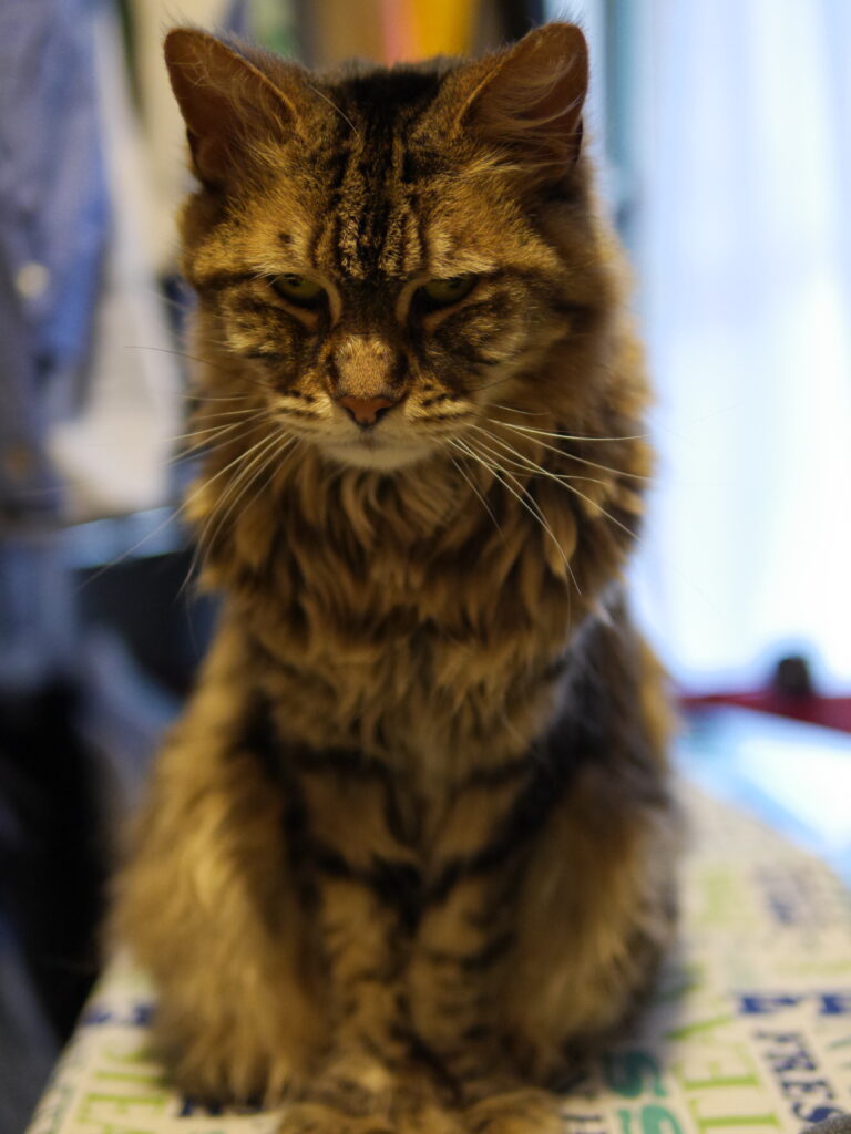 A State of Constant Depression