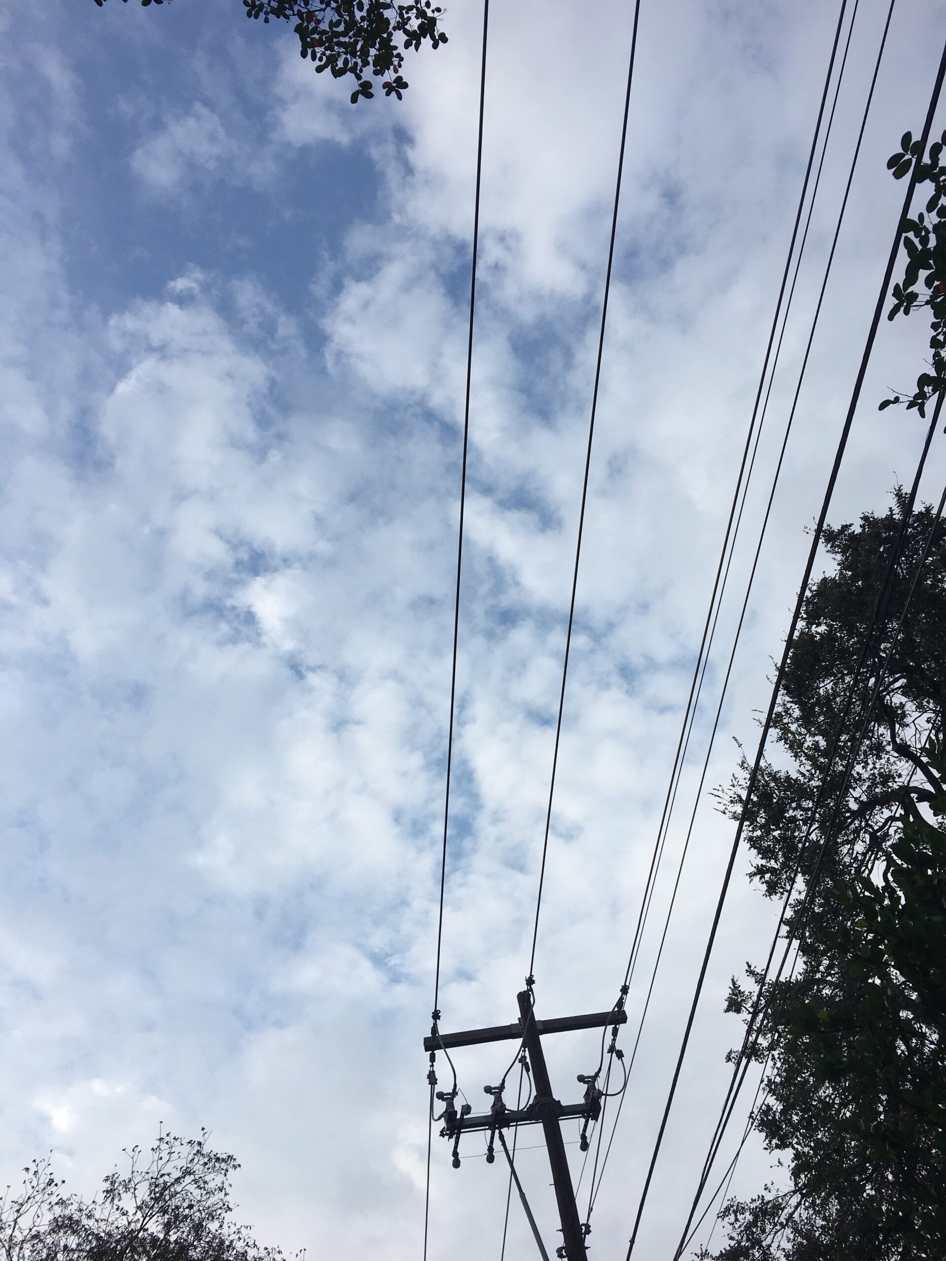 Power Lines and Sky