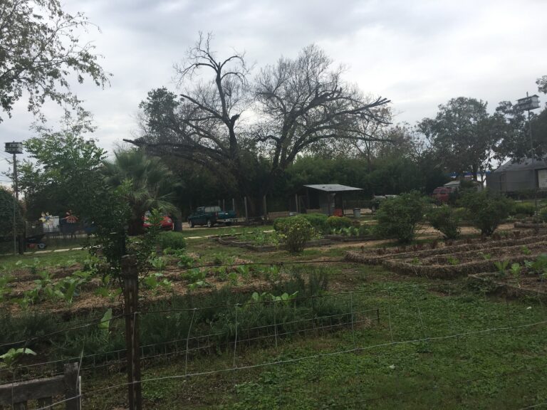 Community Garden