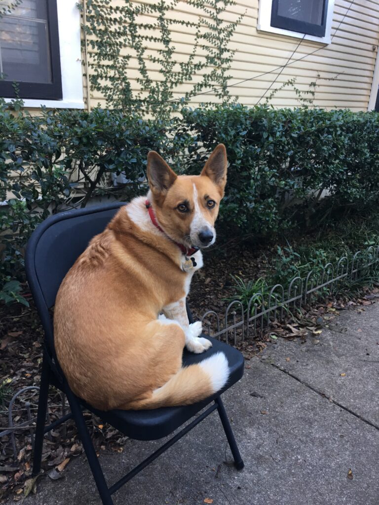 Paint Me Like Your French Girls