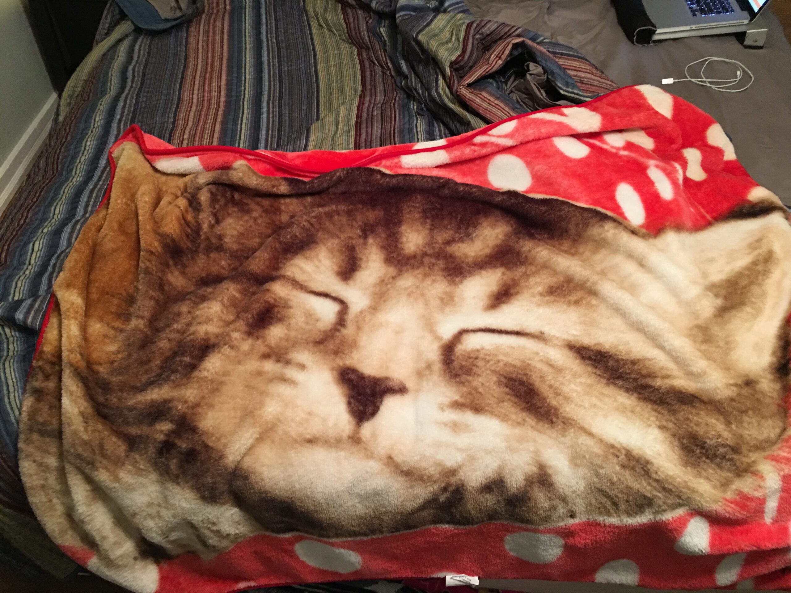 Glorious Cat Blanket