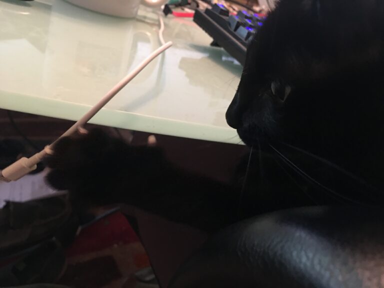 Can’t Have Nice Things