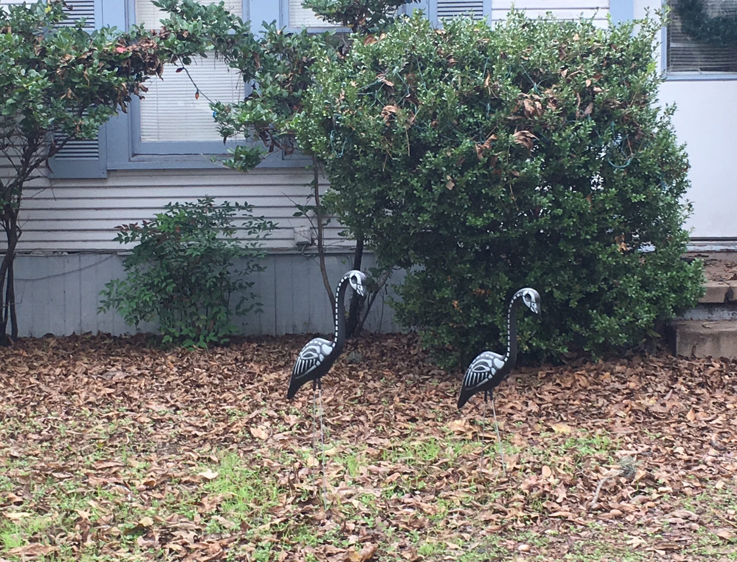 Skeleton Flamingos