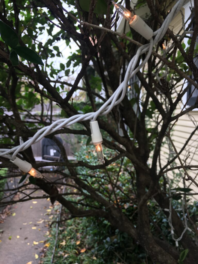 Meager Christmas Lights