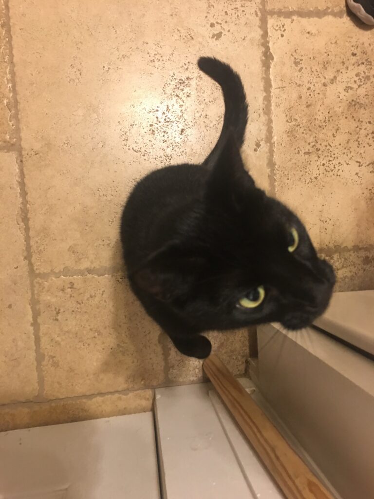 Every time You Walk By The Pantry