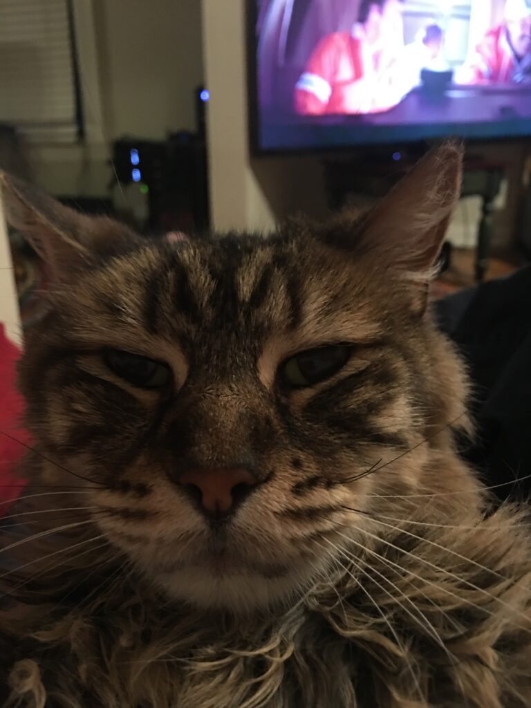 Maybe A Little Closer?