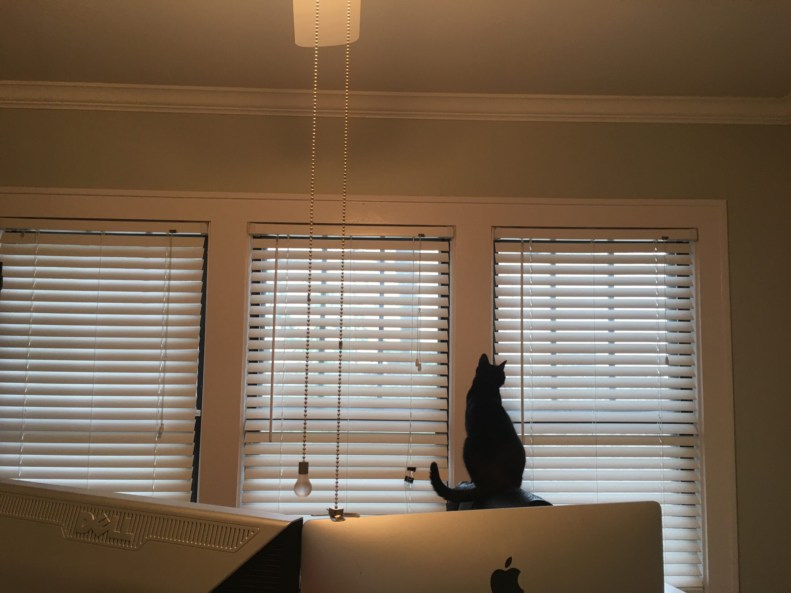 Destroyer of Worlds, Stuck Inside