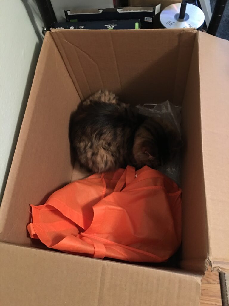 Really Need To Finish Unpacking Boxes