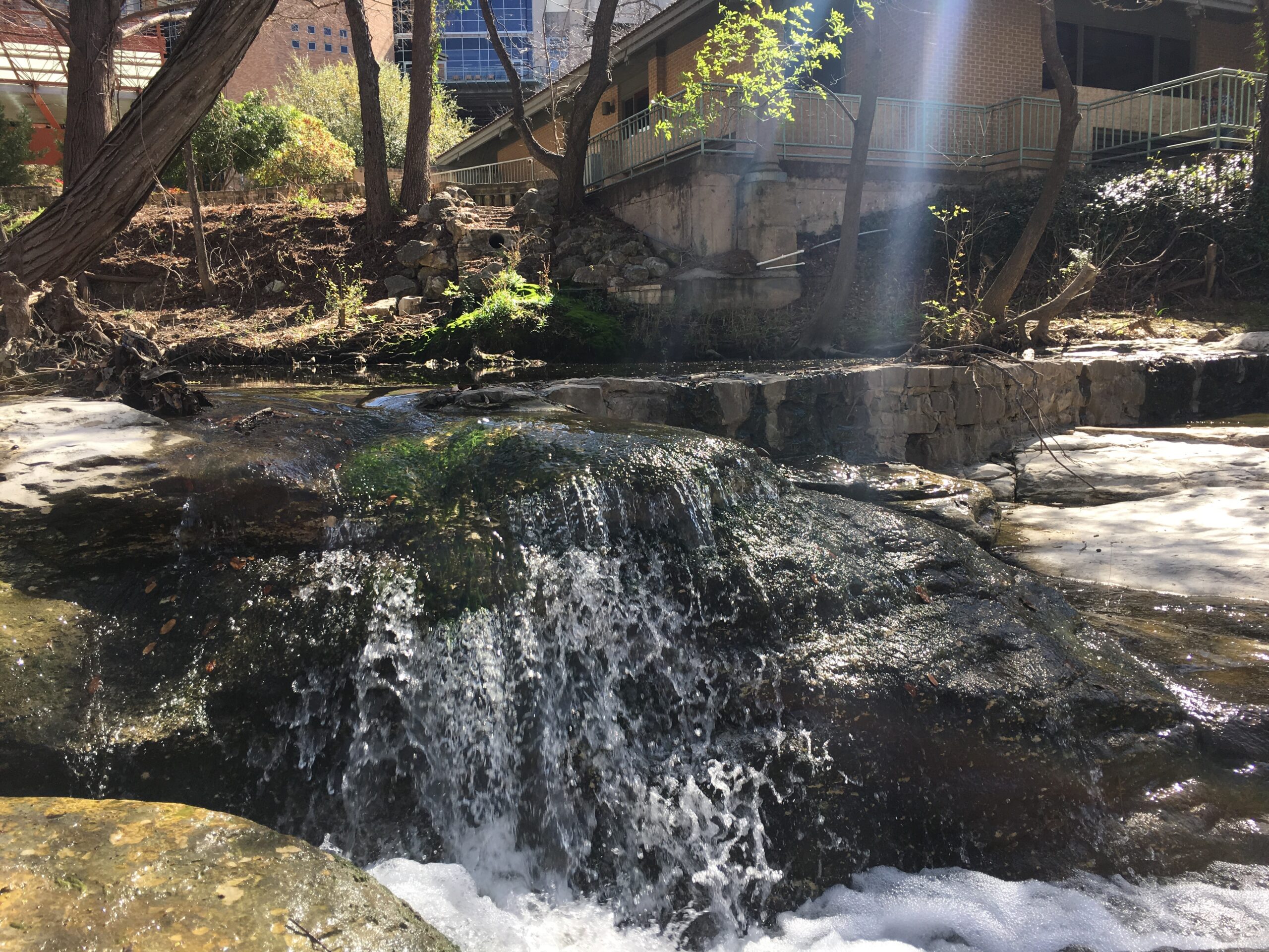 Hidden Campus Stream