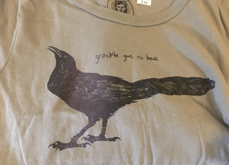Grackle