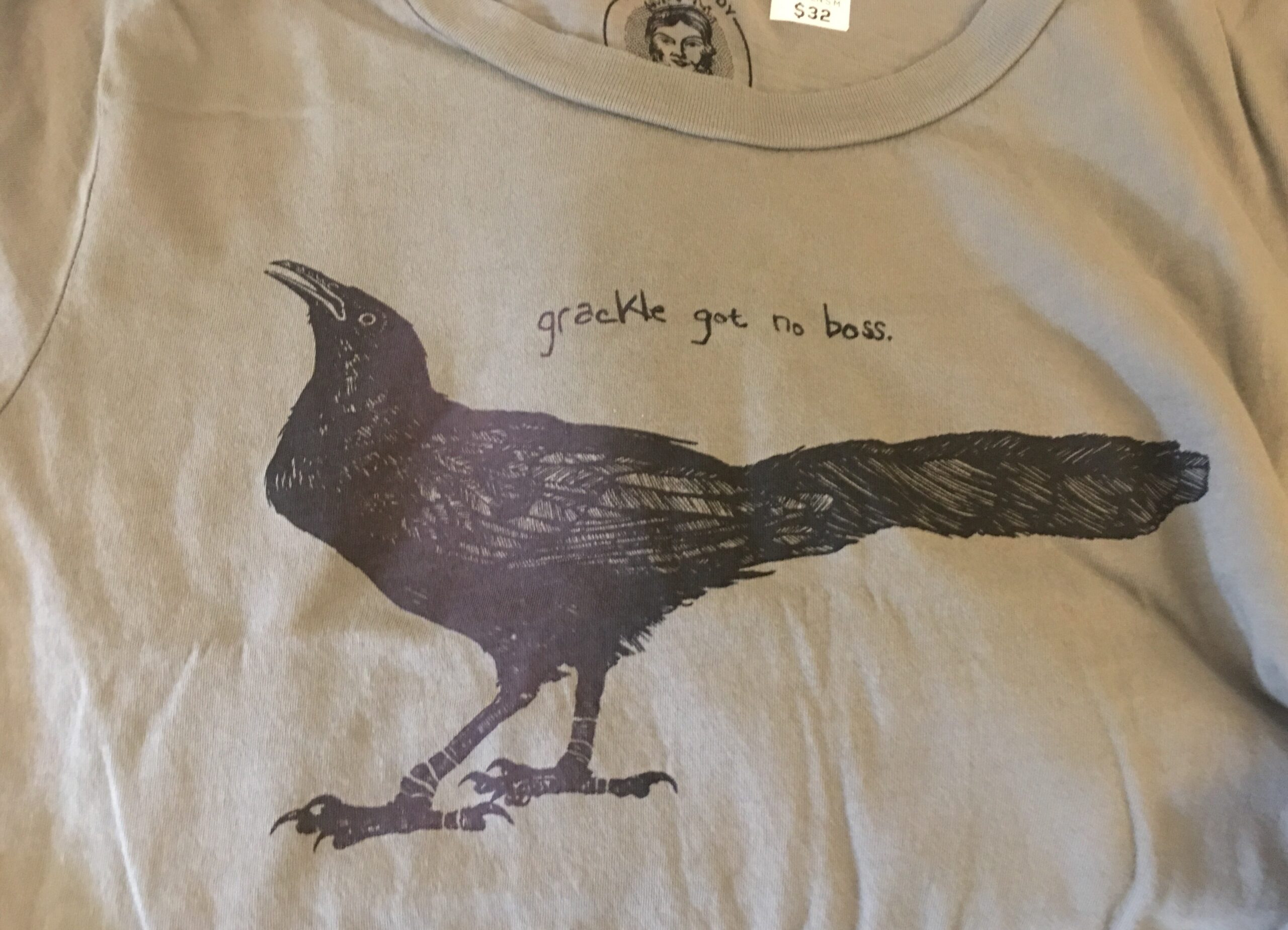 Grackle