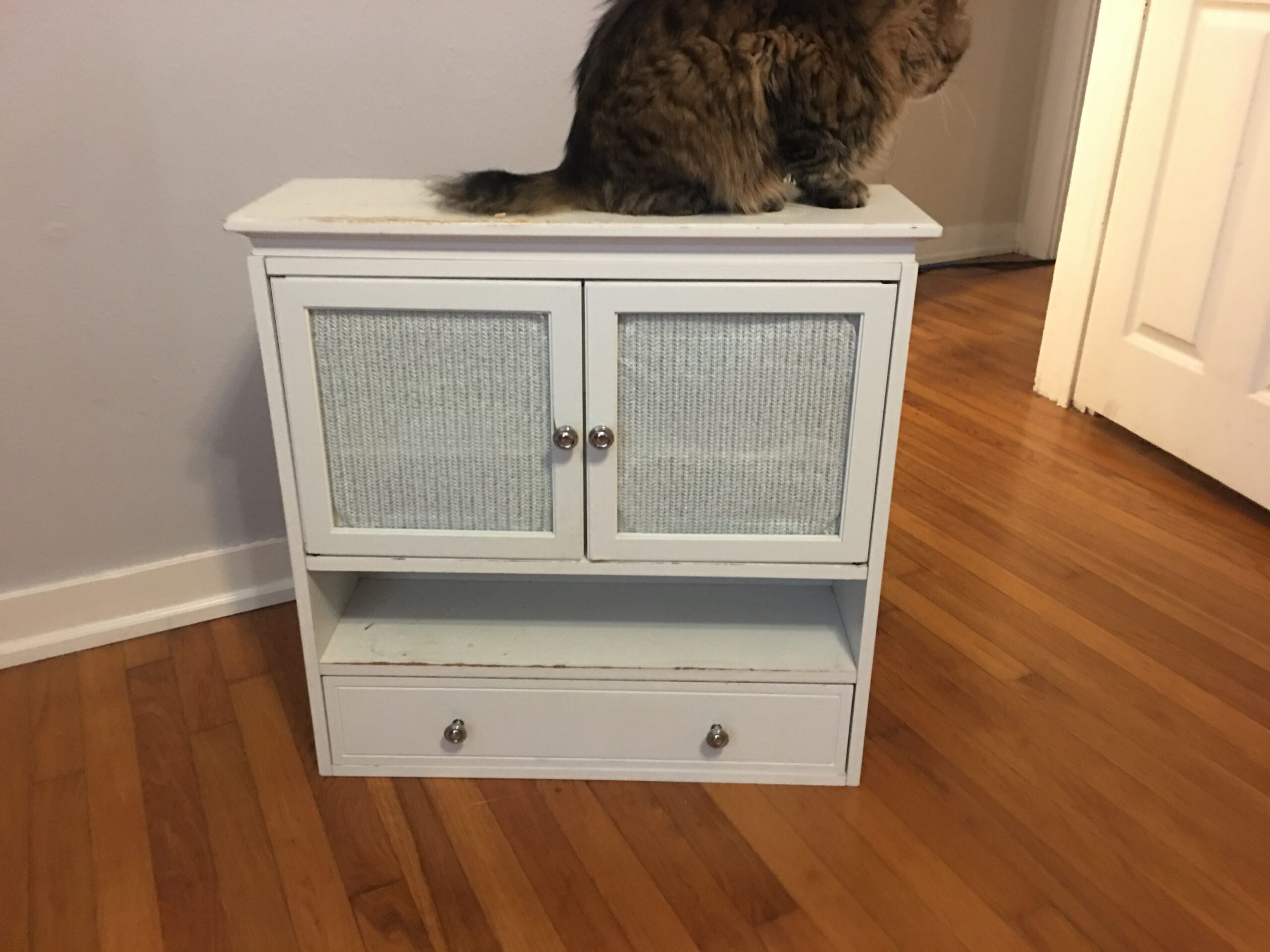 Things That Almost Fell on Me