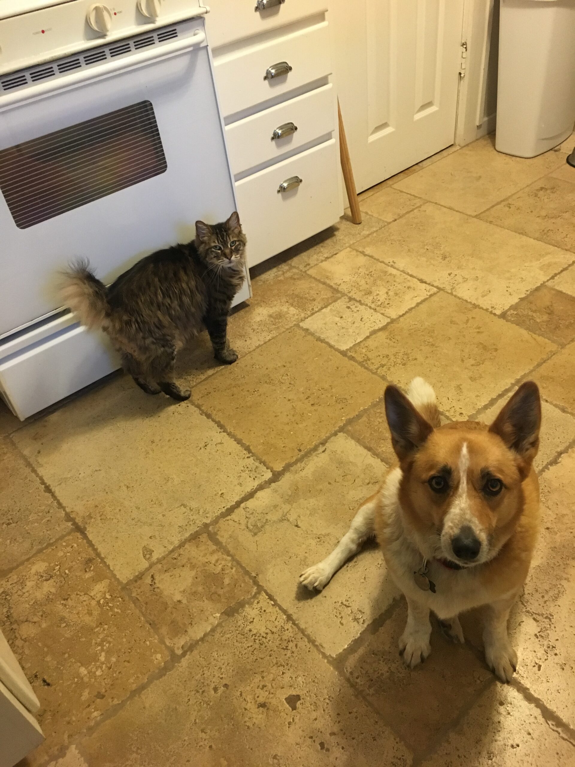 Kitchen Helpers